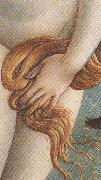 Sandro Botticelli, The Birth of Venus (mk36)